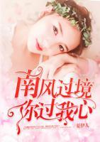 南风过境，你过我心